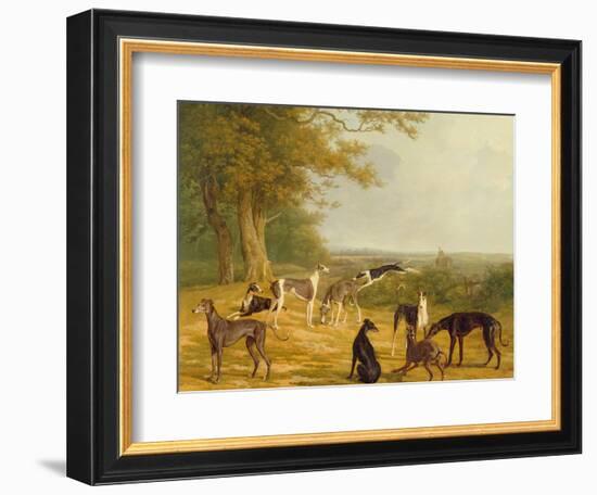 Nine Greyhounds in a Landscape-Jacques-Laurent Agasse-Framed Giclee Print