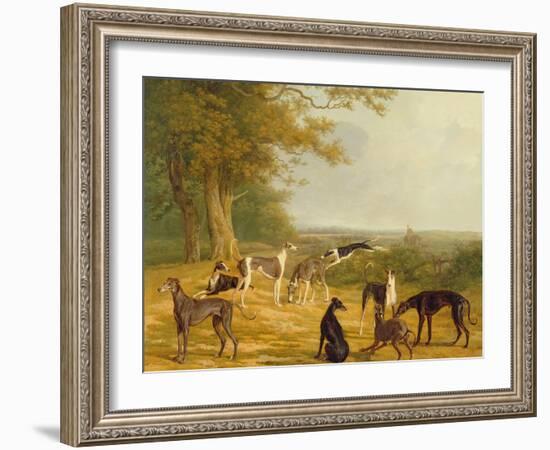 Nine Greyhounds in a Landscape-Jacques-Laurent Agasse-Framed Giclee Print