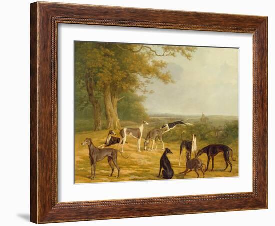 Nine Greyhounds in a Landscape-Jacques-Laurent Agasse-Framed Giclee Print