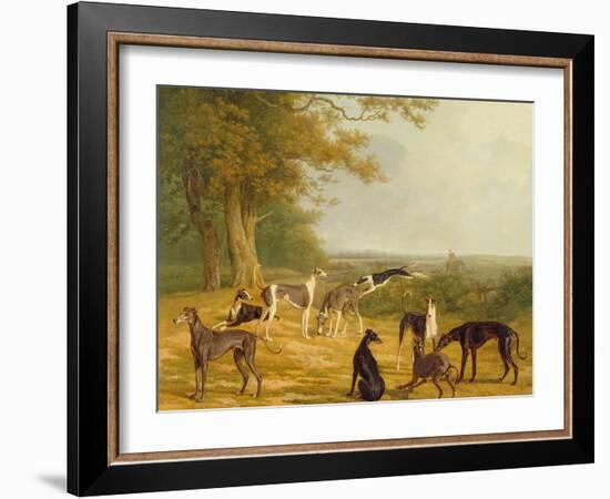 Nine Greyhounds in a Landscape-Jacques-Laurent Agasse-Framed Giclee Print