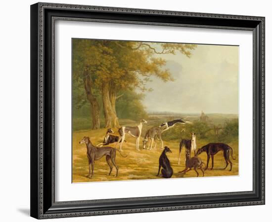 Nine Greyhounds in a Landscape-Jacques-Laurent Agasse-Framed Giclee Print