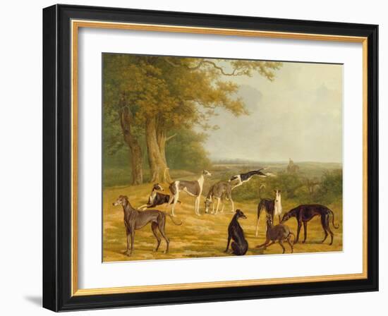 Nine Greyhounds in a Landscape-Jacques-Laurent Agasse-Framed Giclee Print