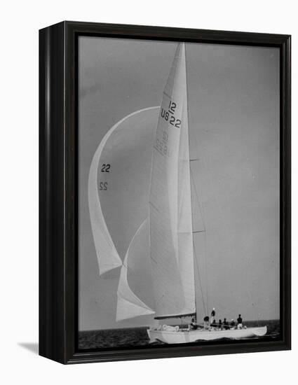 Nine Individuals Are Seen Sailing on Three Sail Intrepid Sailboat During the America's Cup Trials-George Silk-Framed Premier Image Canvas