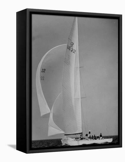 Nine Individuals Are Seen Sailing on Three Sail Intrepid Sailboat During the America's Cup Trials-George Silk-Framed Premier Image Canvas