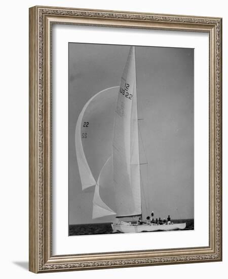 Nine Individuals Are Seen Sailing on Three Sail Intrepid Sailboat During the America's Cup Trials-George Silk-Framed Photographic Print