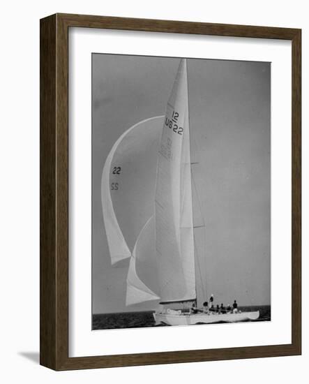 Nine Individuals Are Seen Sailing on Three Sail Intrepid Sailboat During the America's Cup Trials-George Silk-Framed Photographic Print