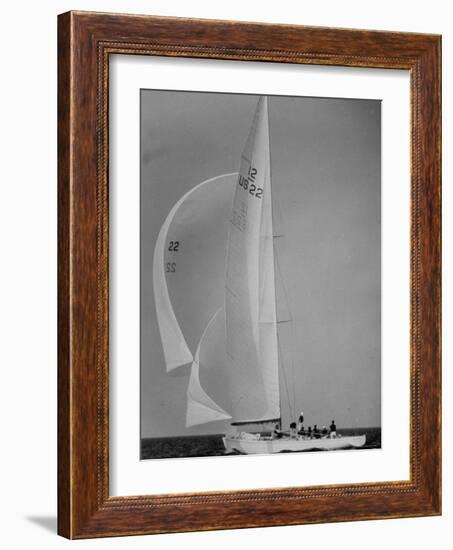 Nine Individuals Are Seen Sailing on Three Sail Intrepid Sailboat During the America's Cup Trials-George Silk-Framed Photographic Print