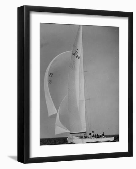 Nine Individuals Are Seen Sailing on Three Sail Intrepid Sailboat During the America's Cup Trials-George Silk-Framed Photographic Print