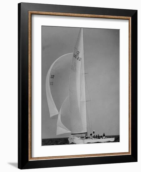 Nine Individuals Are Seen Sailing on Three Sail Intrepid Sailboat During the America's Cup Trials-George Silk-Framed Photographic Print