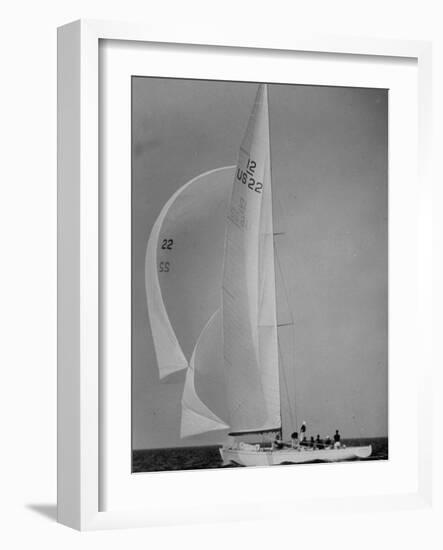 Nine Individuals Are Seen Sailing on Three Sail Intrepid Sailboat During the America's Cup Trials-George Silk-Framed Photographic Print