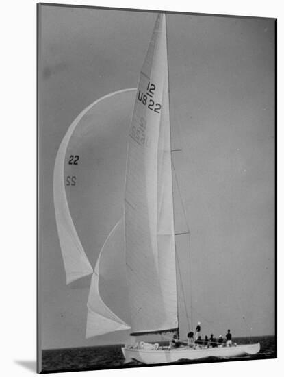 Nine Individuals Are Seen Sailing on Three Sail Intrepid Sailboat During the America's Cup Trials-George Silk-Mounted Photographic Print