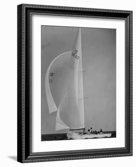 Nine Individuals Are Seen Sailing on Three Sail Intrepid Sailboat During the America's Cup Trials-George Silk-Framed Photographic Print