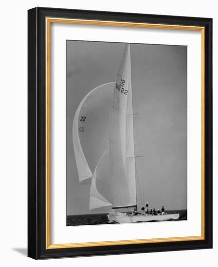 Nine Individuals Are Seen Sailing on Three Sail Intrepid Sailboat During the America's Cup Trials-George Silk-Framed Photographic Print