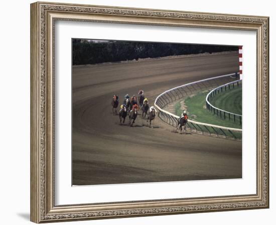 Nine Race Horses-null-Framed Photographic Print