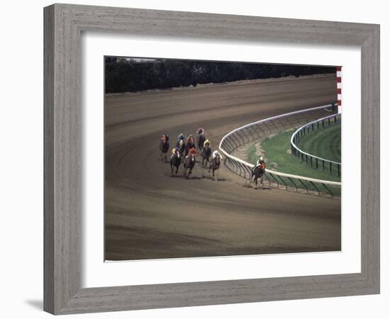 Nine Race Horses-null-Framed Photographic Print