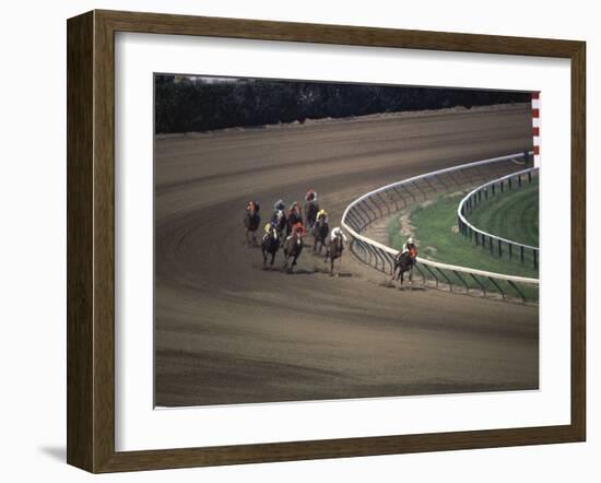 Nine Race Horses-null-Framed Photographic Print