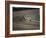 Nine Race Horses-null-Framed Photographic Print