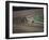 Nine Race Horses-null-Framed Photographic Print