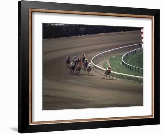 Nine Race Horses-null-Framed Photographic Print