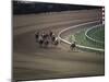 Nine Race Horses-null-Mounted Photographic Print