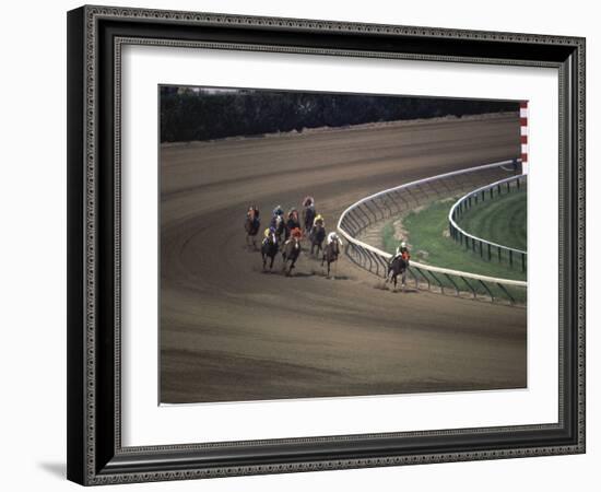 Nine Race Horses-null-Framed Photographic Print