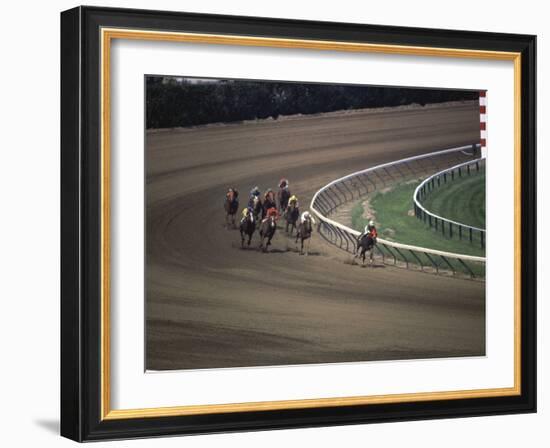 Nine Race Horses-null-Framed Photographic Print