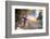 Nine-Erdal Suat-Framed Photographic Print