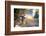 Nine-Erdal Suat-Framed Photographic Print