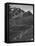 Nineteenth Lap of the 1954 Tour De France-null-Framed Premier Image Canvas