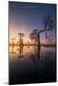 Premium Photographic Print