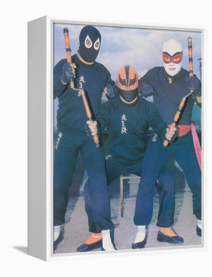 Ninja Mexican Wrestlers with Nunchuks-null-Framed Stretched Canvas