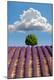 Premium Photographic Print