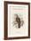 Ninox Dimorpha - Salvadori's Hawk-Owl-John Gould-Framed Art Print