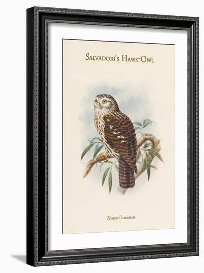Ninox Dimorpha - Salvadori's Hawk-Owl-John Gould-Framed Art Print