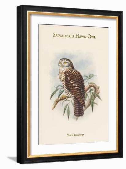 Ninox Dimorpha - Salvadori's Hawk-Owl-John Gould-Framed Art Print