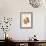 Ninox Forbesi - Forbes' Hawk-Owl-John Gould-Framed Art Print displayed on a wall