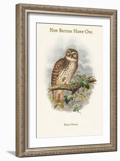 Ninox Odiosa - New Britain Hawk-Owl-John Gould-Framed Art Print