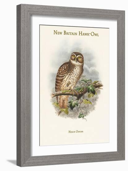 Ninox Odiosa - New Britain Hawk-Owl-John Gould-Framed Art Print