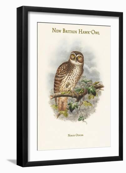 Ninox Odiosa - New Britain Hawk-Owl-John Gould-Framed Art Print