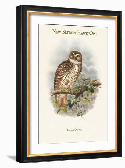 Ninox Odiosa - New Britain Hawk-Owl-John Gould-Framed Art Print