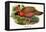 Nipaulese Horned Pheasant-Birds Of Asia-John Gould-Framed Stretched Canvas