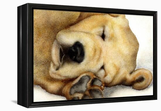 Nipper Nap-Will Bullas-Framed Premier Image Canvas