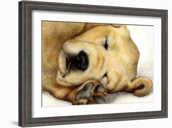 Nipper Nap-Will Bullas-Framed Giclee Print