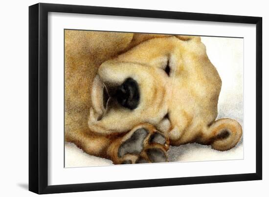 Nipper Nap-Will Bullas-Framed Giclee Print