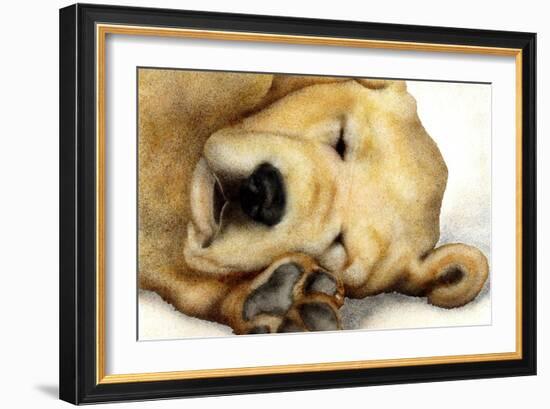 Nipper Nap-Will Bullas-Framed Giclee Print