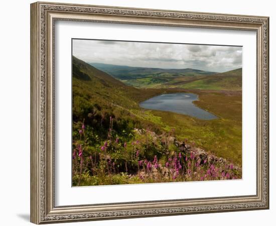 Nire Valley from the Comeragh Mountains, County Waterford, Ireland-null-Framed Photographic Print