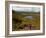 Nire Valley from the Comeragh Mountains, County Waterford, Ireland-null-Framed Photographic Print