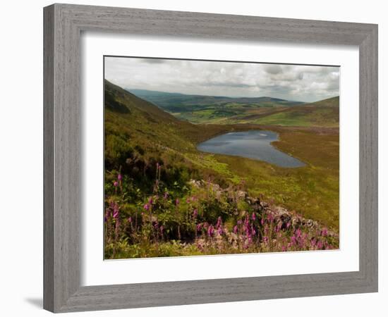 Nire Valley from the Comeragh Mountains, County Waterford, Ireland-null-Framed Photographic Print