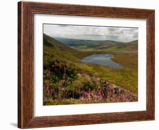 Nire Valley from the Comeragh Mountains, County Waterford, Ireland-null-Framed Photographic Print