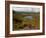 Nire Valley from the Comeragh Mountains, County Waterford, Ireland-null-Framed Photographic Print